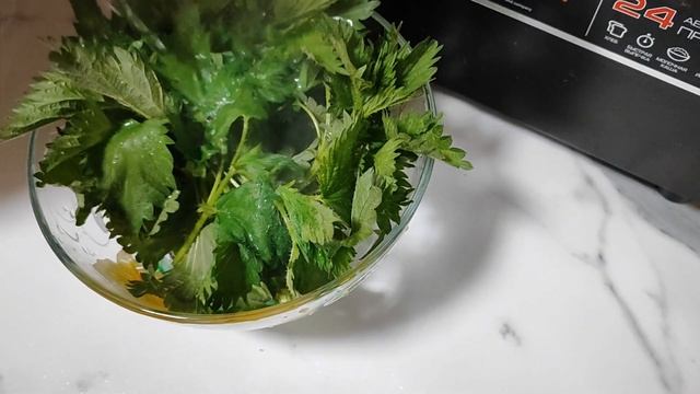 Готовлю крапивный сок , чем поливаю рассаду, ЖАРА в Саратове. Всё зацветает!!!!🌷🌸🌼🌳 смотреть онлайн