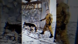 SHOHINI NASIMI ARMIYA 2024