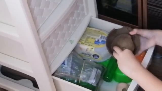 ВСЕ ДЛЯ СОДЕРЖАНИЯ ХОМЯКОВ || НОВОСТИ ХОМОК || РУБРИКА НОВЫХ ПЕТОМЦЕВ ПРИКРЫТА || МАСЯНЯ ЛЕНИВАЯ