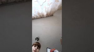 Вечерняя рутина