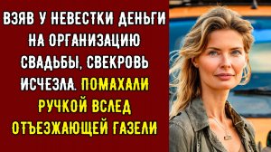 Взяв у невестки деньги на организацию свадьбы, свекровь исчезла. Помахали ручкой вслед...