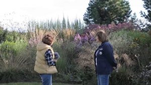 Посиделки в Беседке l Елена Константинова