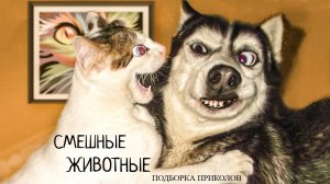 ПРИКОЛЫ С ЖИВОТНЫМИ😺🐶 СМЕШНЫЕ КОТЫ и СОБАКИ😂