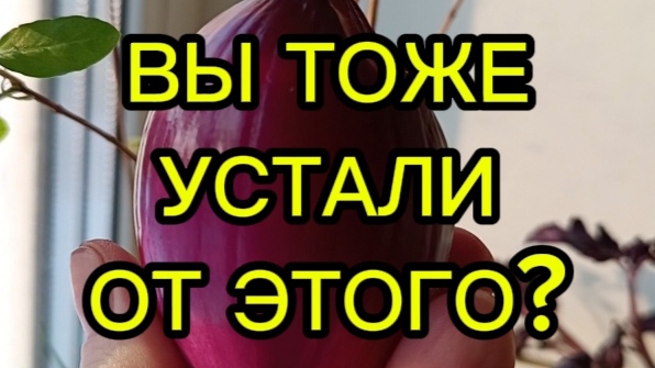 кухонные лайфхаки, чтобы продукты дольше сохраняли свою свежесть
