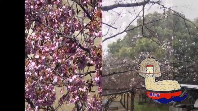 Spring in Chita 知多半島の春　Jazz Mediterranee　(orig. Henri Salvador) смотреть онлайн