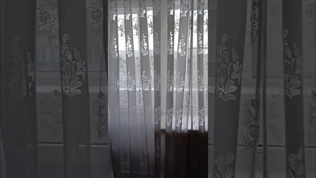 VID_20250321_190247_094