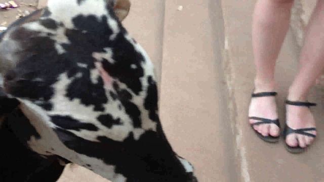 на индийском рынке смотреть онлайн