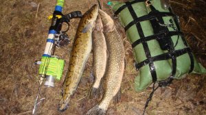 Подводная охота 15.03.2025