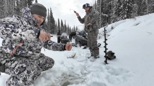 РЫБАЛКА НА ХАРИУСА НА ТАЕЖНОЙ РЕЧКЕ. ПОПАЛИ НА ХОРОШИЙ КЛЕВ В МЕТЕЛЬ.