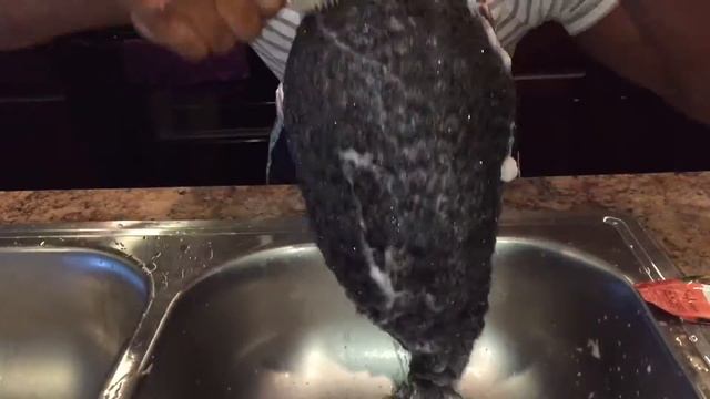 How I Wash My Hair | Simple Routine смотреть онлайн