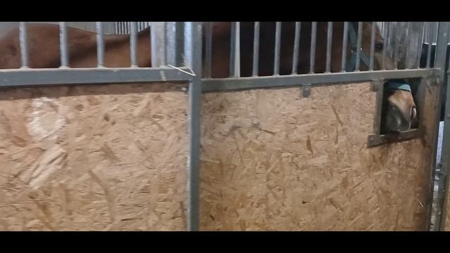 Отмечаем  День  рождения  ,,Настеньки,,,