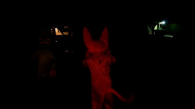 Hoops And Yoyo Halloween