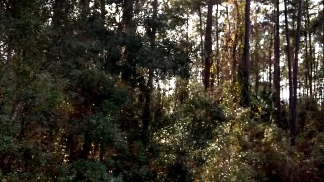 Lots And Land for sale - 1150 E Toledo Drive, Citrus Springs, FL 34434 смотреть онлайн