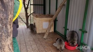 Санаторий у моря , это здорово ! Зеленая долина , Туапсе .