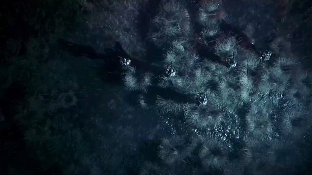 Tempest Rising - Official Reveal Trailer