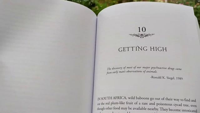 Animal self-medication and other health maintenance strategies. Peep inside the book Wild Health. смотреть онлайн