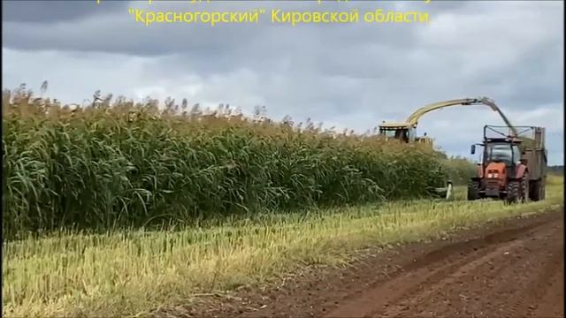Уборка Сабантуй смотреть онлайн