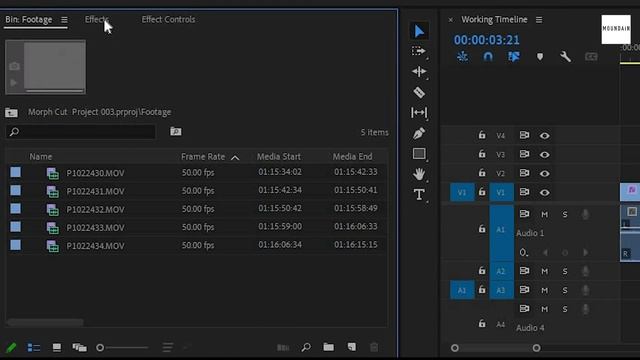 Smooth Transition Between Objects With Morphing In Premiere Pro