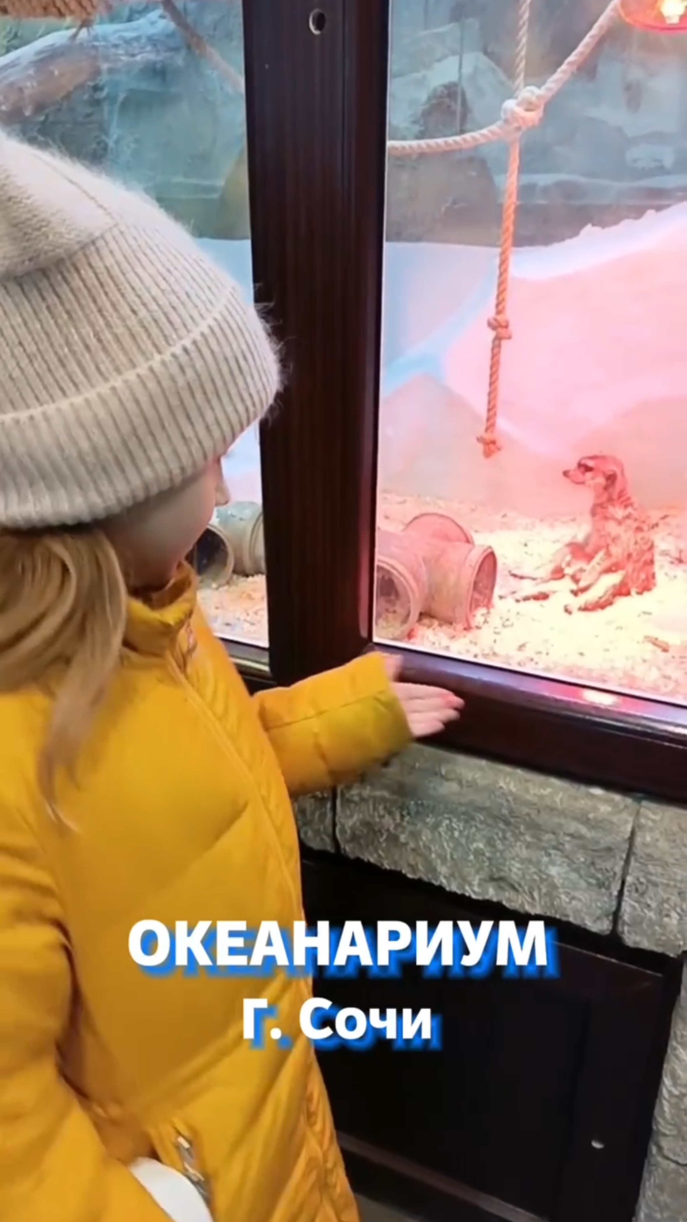 Океанариум Сочи смотреть онлайн