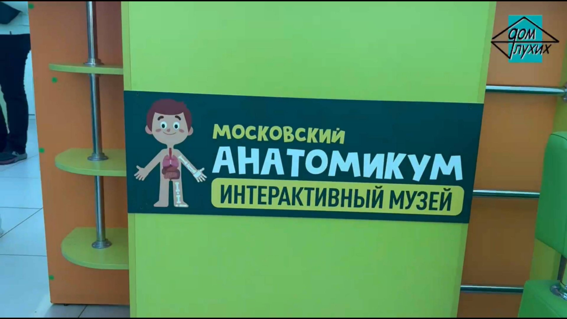 Экскурсия в «Анатомикум» в Москве смотреть онлайн