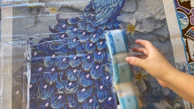 Saner Direct PR Unboxing- Peacock Diamond Painting смотреть онлайн