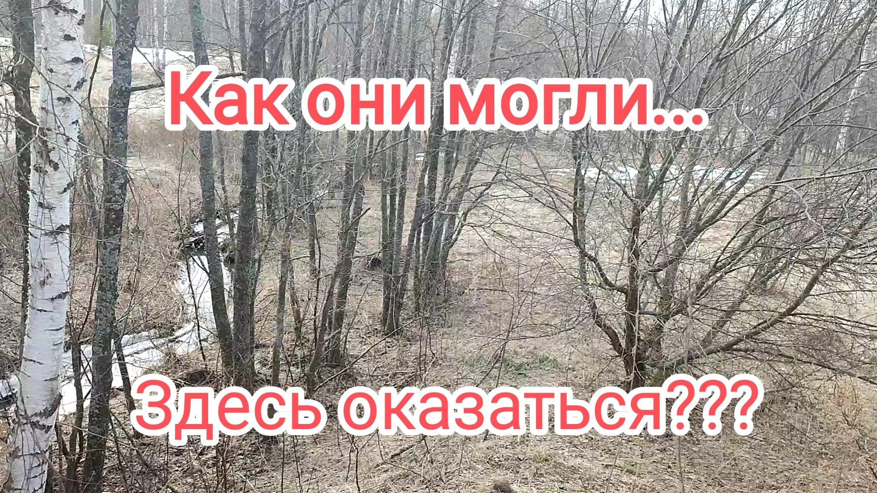 Размеры этих находок меня шокировали!!!Как они могли здесь оказаться??? смотреть онлайн