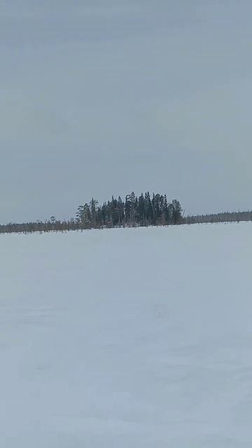 подготовка к охоте на гуся весна 2024 смотреть онлайн