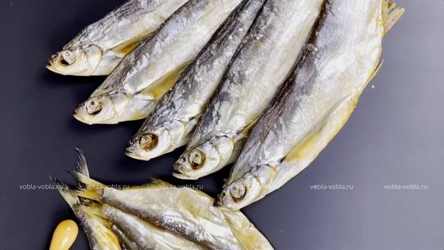 чехонь куп и имп смотреть онлайн