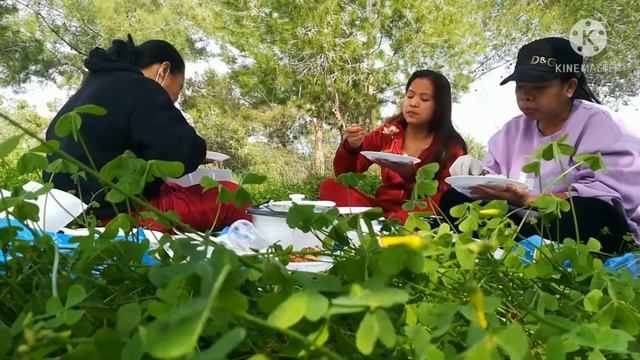 Celebrating Green Monday смотреть онлайн