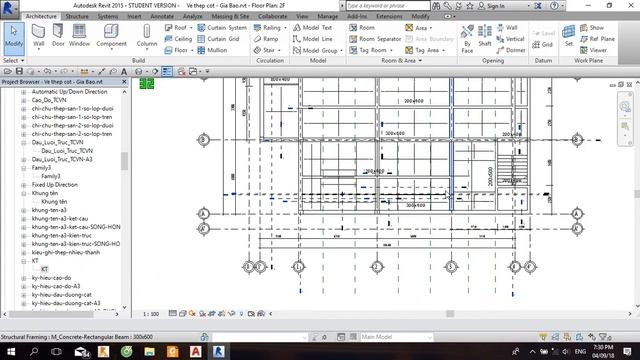 Revit Structure [RDSIC] P13: Vẽ thép bằng Extensions, tạo khung bản vẽ смотреть онлайн