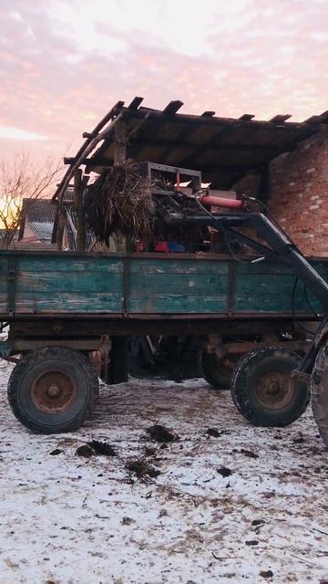 гній куном т 40 смотреть онлайн