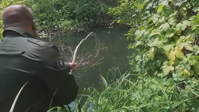 ДЕНЬ РАБАКА. ТАКОЙ РЫБАЛКИ ВЫ ЕЩЁ НЕ ВИДЕЛИ!!! смотреть онлайн