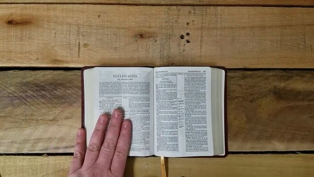KJV Scofield Pocket Study Bible Review смотреть онлайн