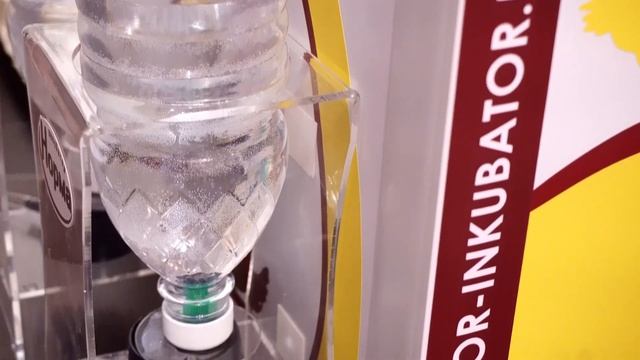 Инкубатор Норма Луппер 72 смотреть онлайн