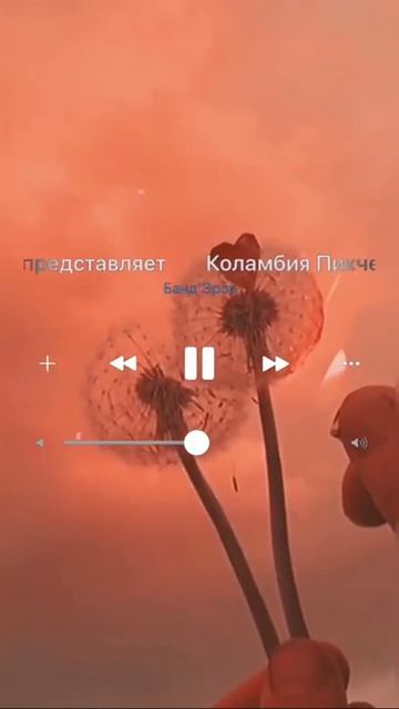 популярные песни из тик тока смотреть онлайн