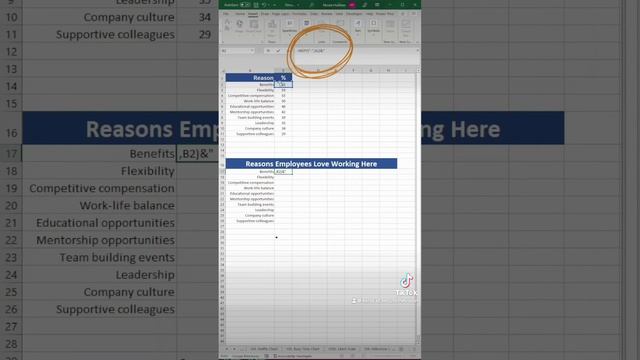 Excel Full Tutorial To Make A McKinsey Chart