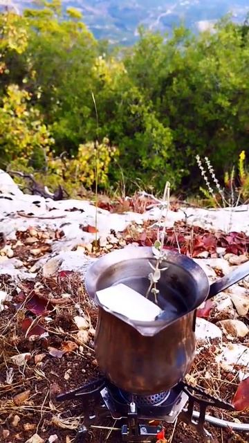 mountain tea 🍵⛰️🌿 #hotdrink #relax #shorts @F.A.N321 смотреть онлайн