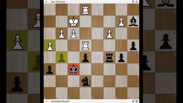 Karpov - Timman FIDE World Championship Match 1993 | Round - 1 & 15 смотреть онлайн