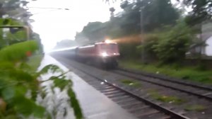 Дождливый день в Индии: поезд пролетает рядом с торговцами манго