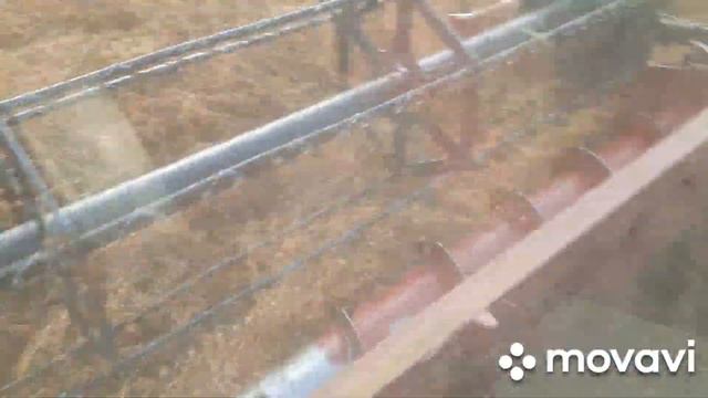 Обмолот полеглої сої.ТАКОГО УРОЖАЮ В МЕНЕ ЩЕ НЕ БУЛО. смотреть онлайн