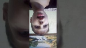 Последнее видео...