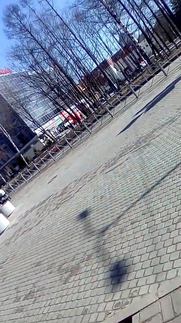 Центральная часть города Всеволожск. Памятник. Апрель 2021. Ленинградская область