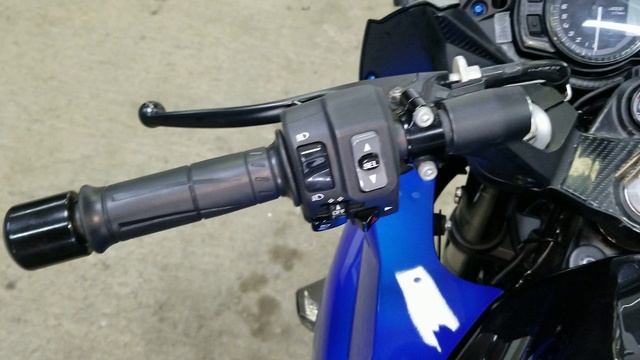 Kawasaki Ninja1000A, 2015 год