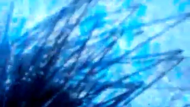 Еж обосрался))))!!!!