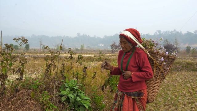 Visit Rural Nepal || EP - 54 || Tarai Rural Nepal ||