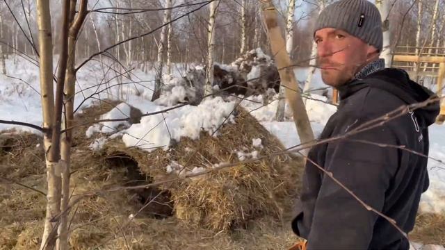 ВОЛЬЕРНАЯ ОХОТА НА КАБАНА, ПРОДАЖА ПШЕНИЦЫ…’ смотреть онлайн