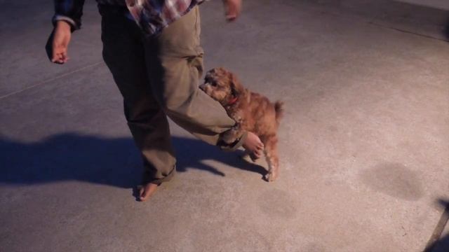 Rape Caught On Camera