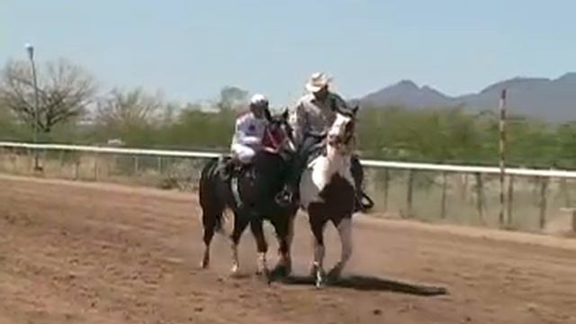 La Peregrina vs El Raton Vaquero vs El Mochomo.mpg смотреть онлайн