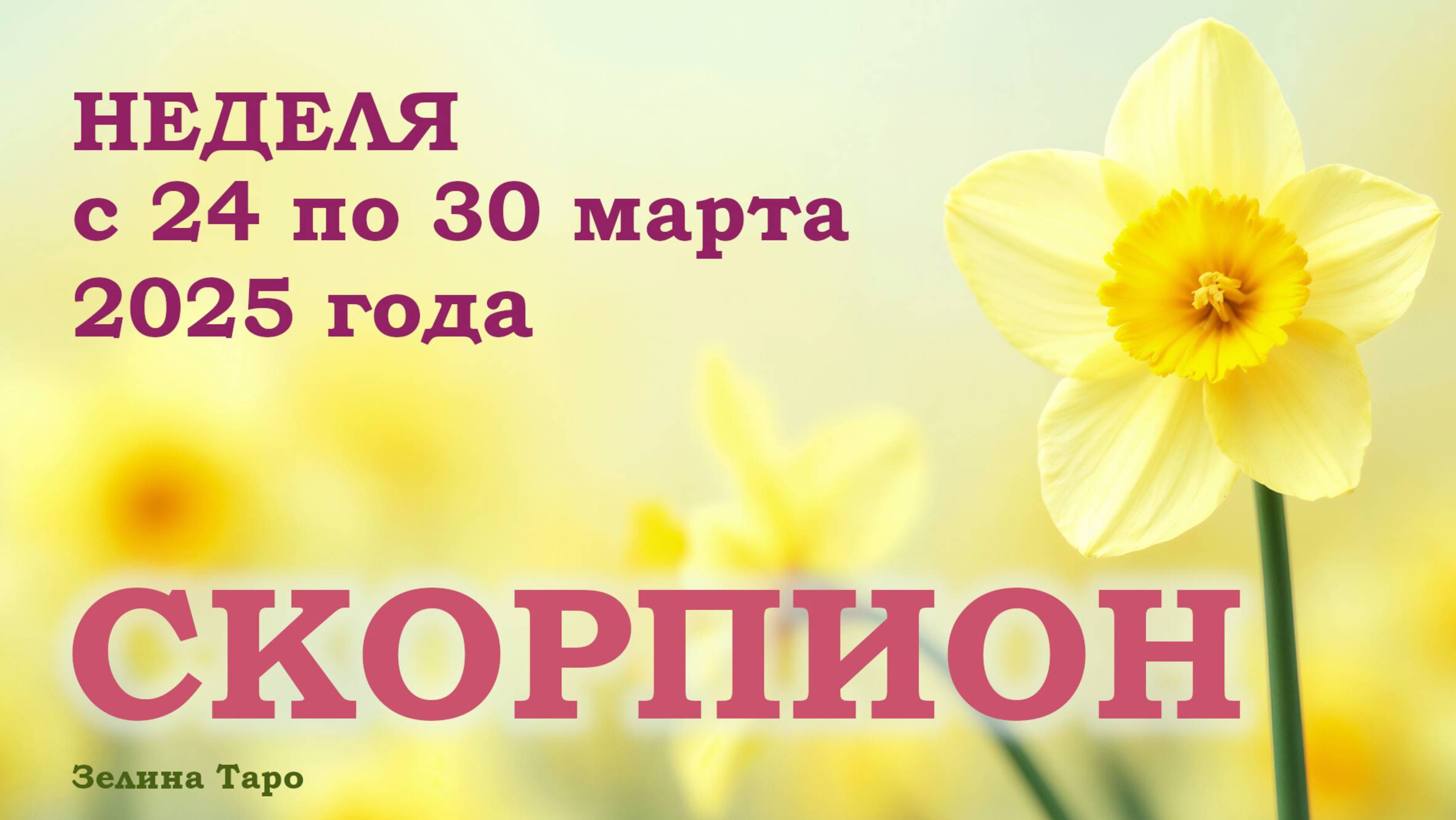 СКОРПИОН | ТАРО прогноз на неделю с 24 по 30 марта 2025 года