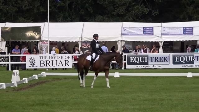 Dressage Blair BE100 Championship 2019 Chesterfield M смотреть онлайн